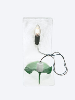 Timo Leithaeuser - Phytoelektrik - Portfolio