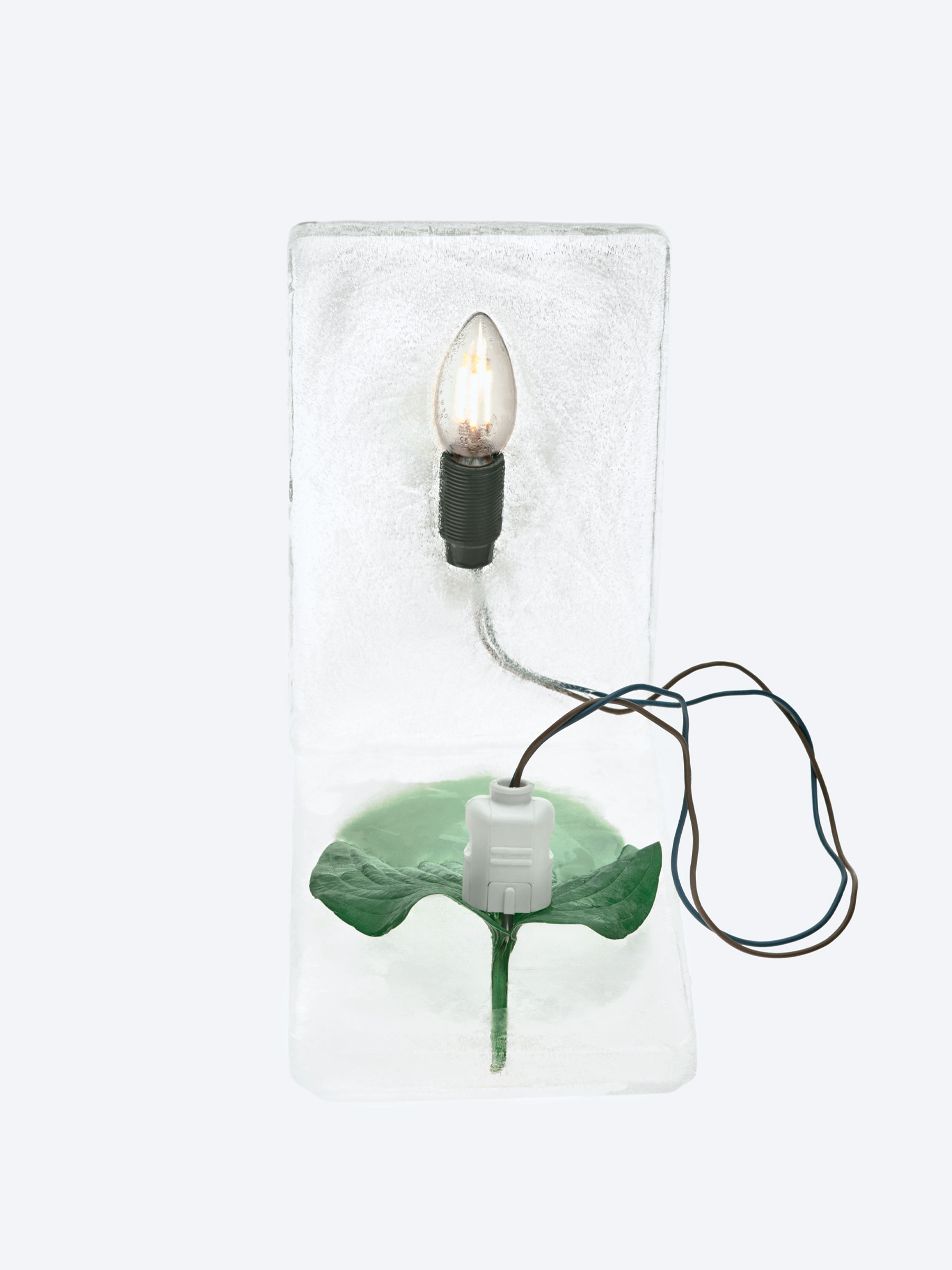 Timo Leithaeuser - Phytoelektrik - Portfolio