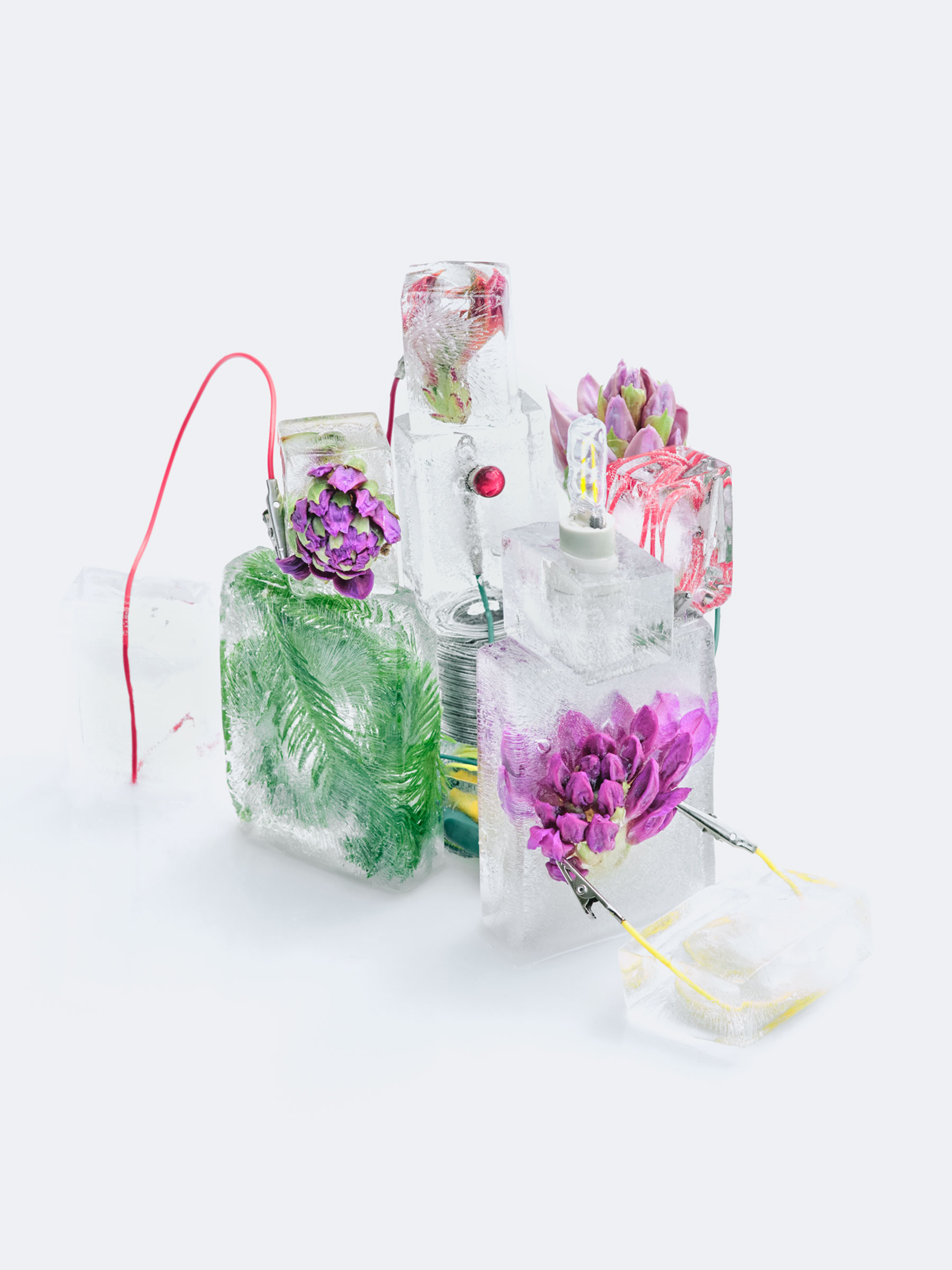 Timo Leithaeuser - Phytoelektrik - Portfolio