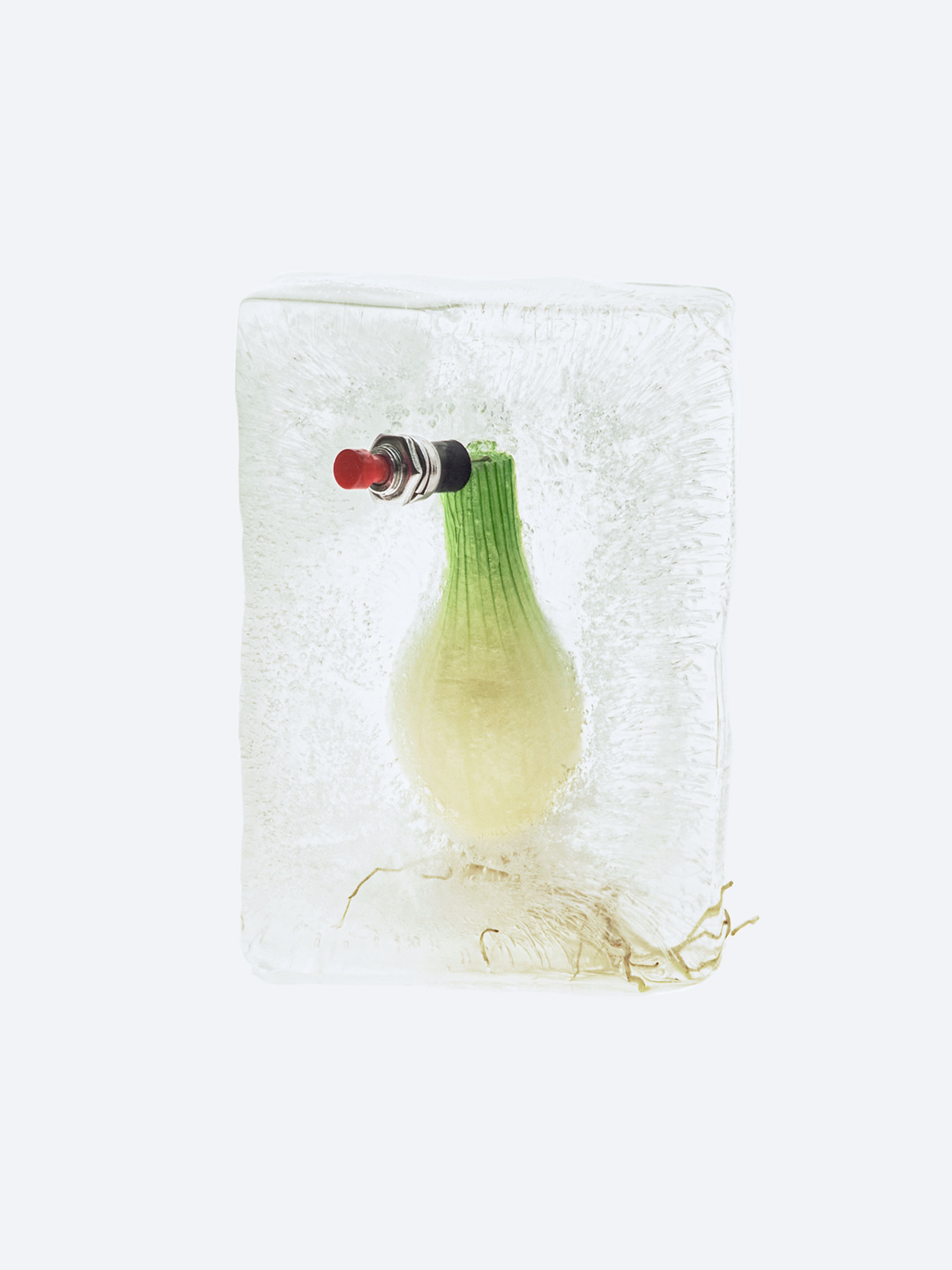 Timo Leithaeuser - Phytoelektrik - Portfolio