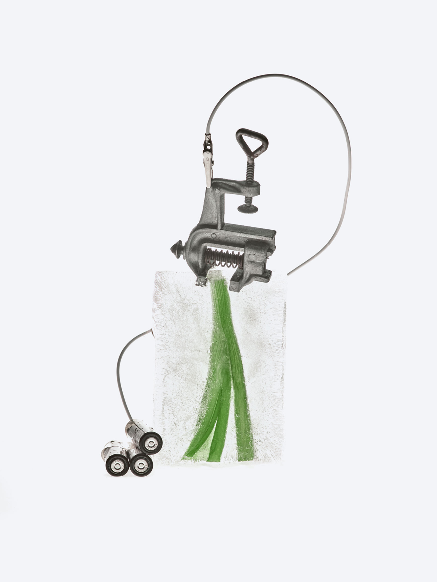 Timo Leithaeuser - Phytoelektrik - Portfolio