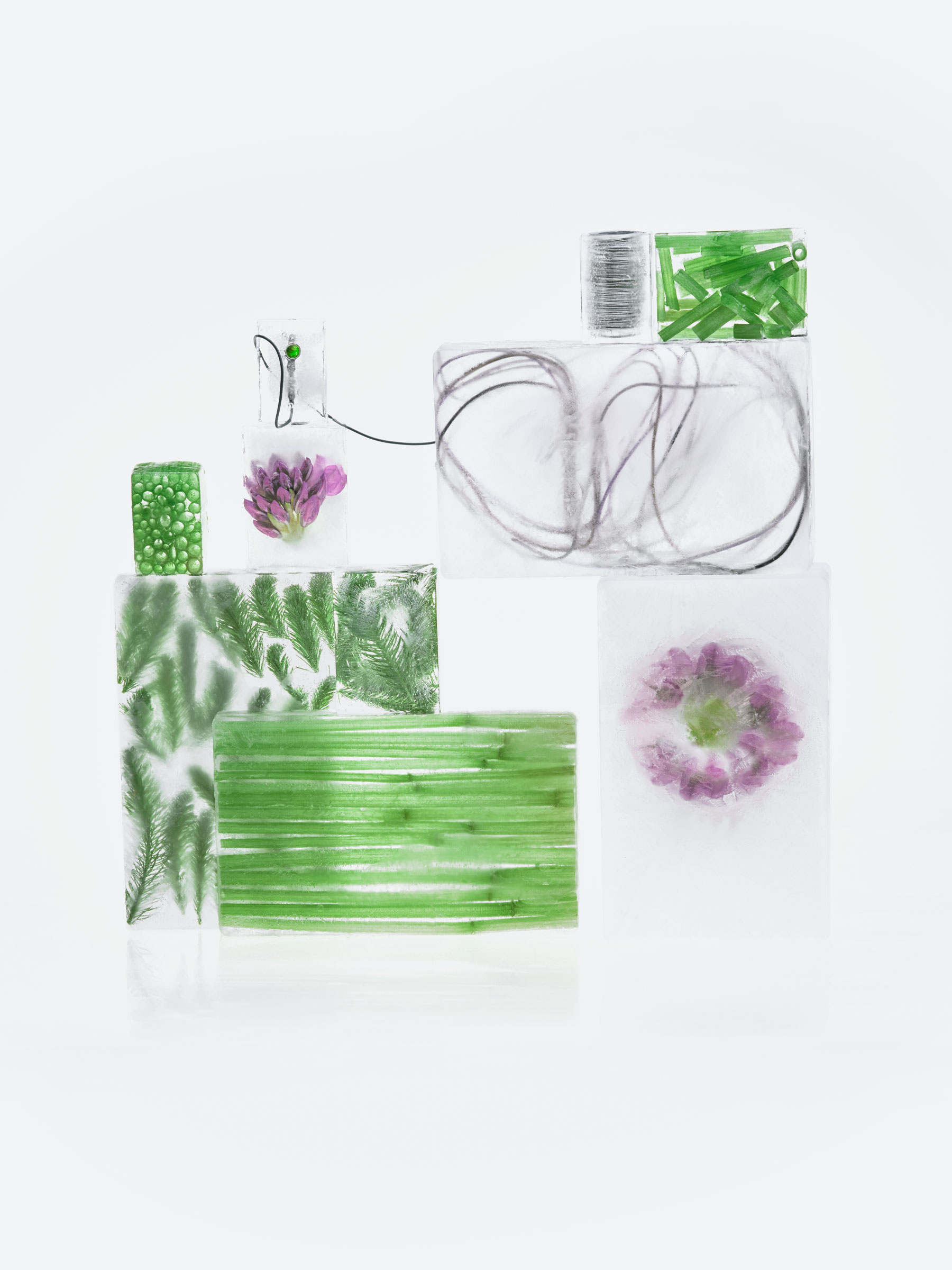 Timo Leithaeuser - Phytoelektrik - Portfolio