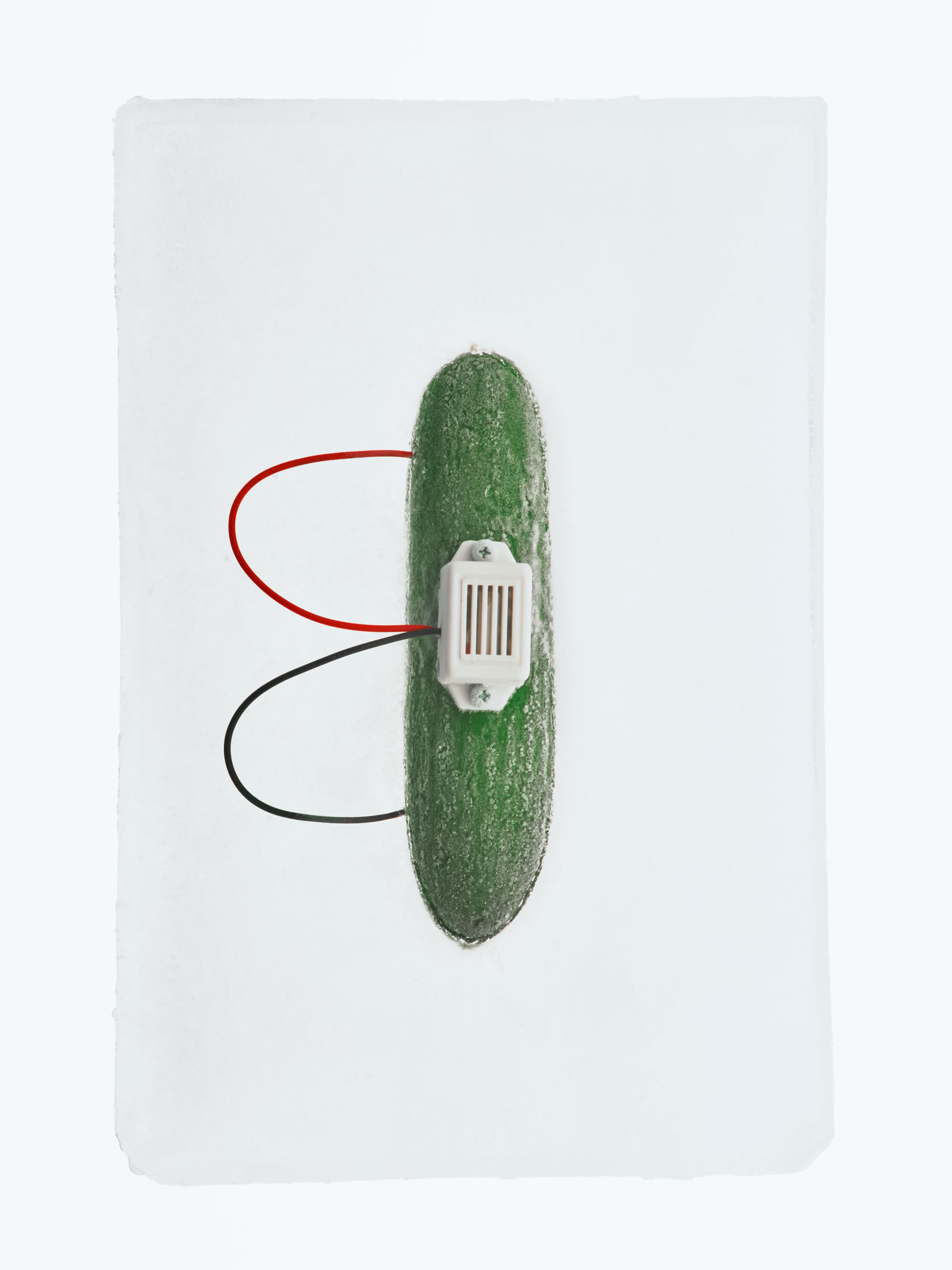 Timo Leithaeuser - Phytoelektrik - Portfolio