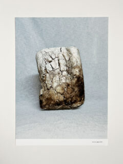 Timo Leithaeuser - Burned - Portfolio