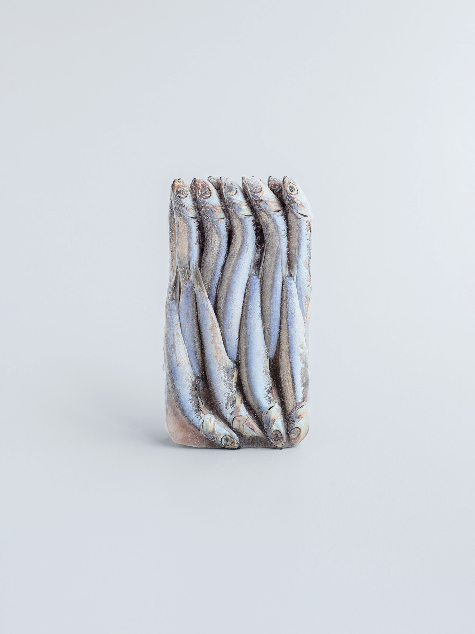 Timo Leithaeuser - Silence - Portfolio