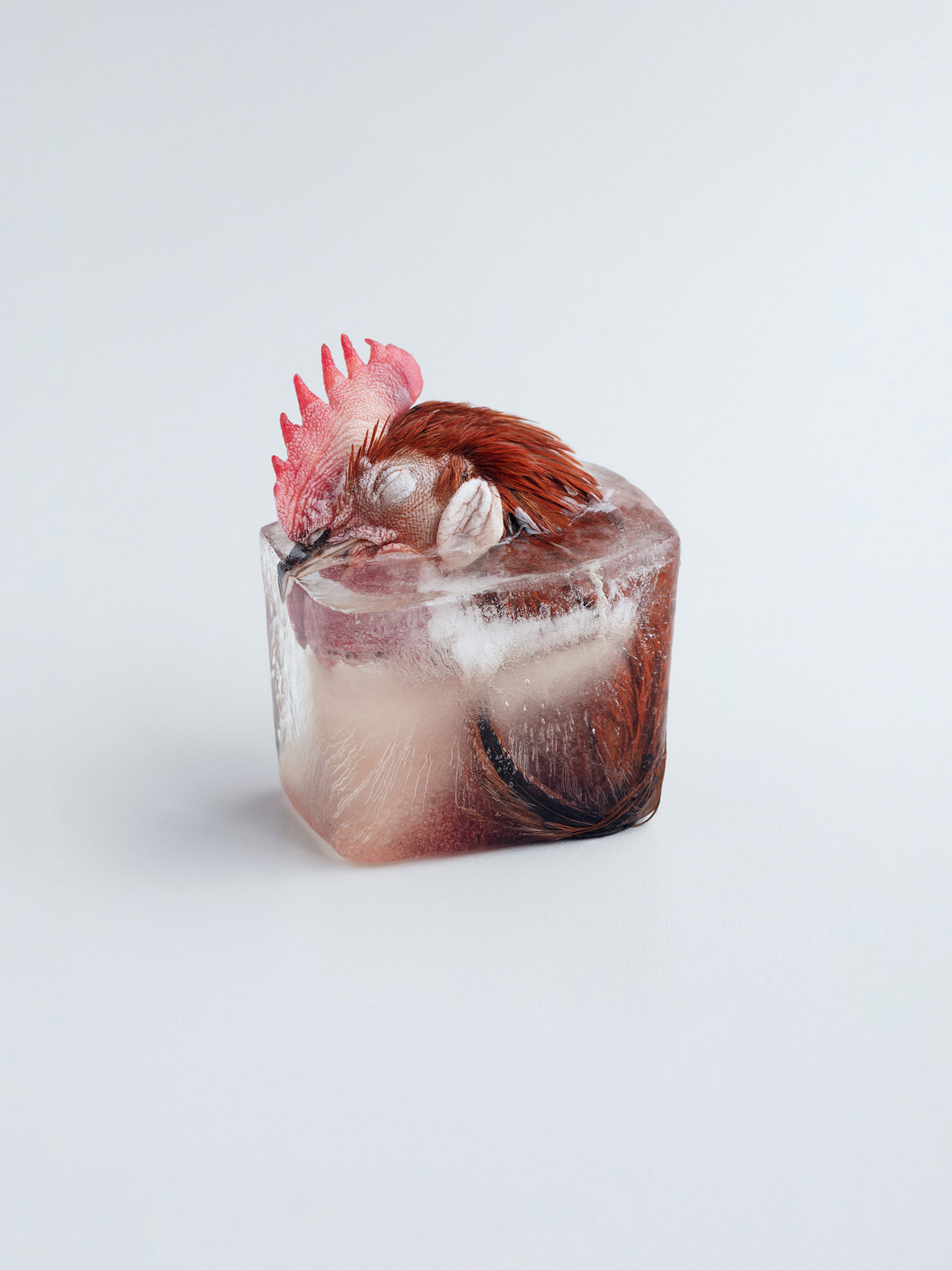 Timo Leithaeuser - Silence - Portfolio