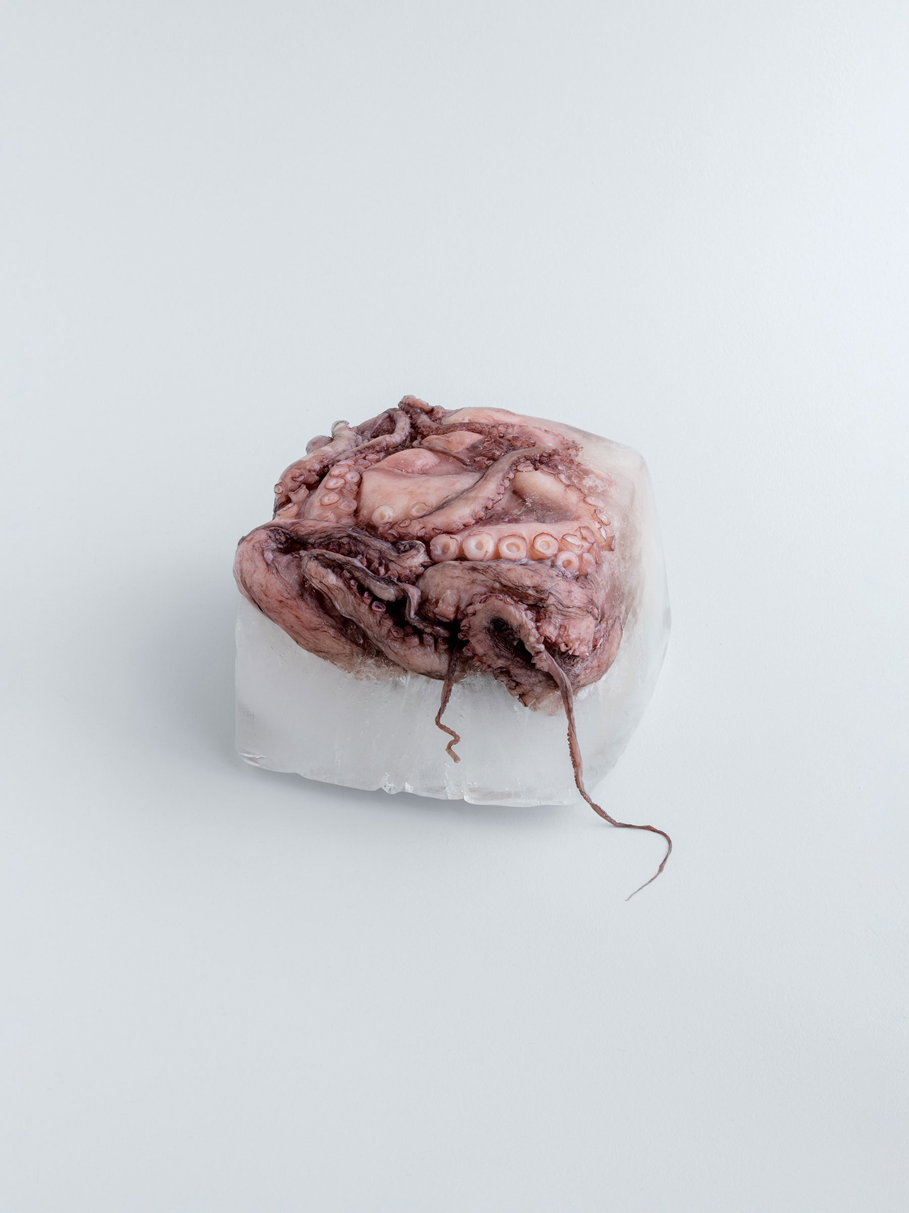 Timo Leithaeuser - Silence - Portfolio