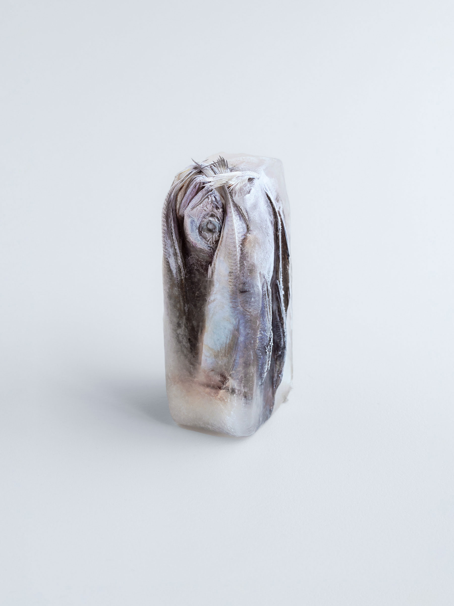 Timo Leithaeuser - Silence - Portfolio