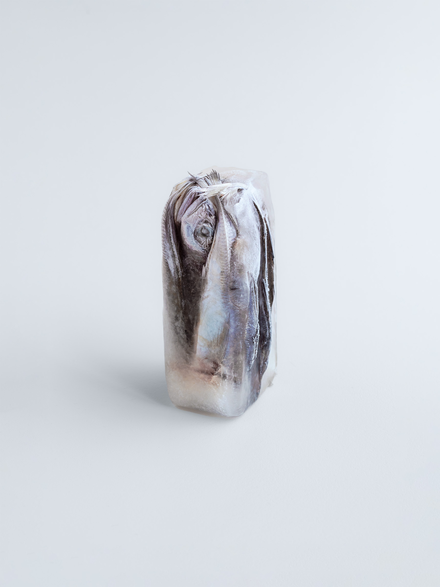 Timo Leithaeuser - Silence - Portfolio