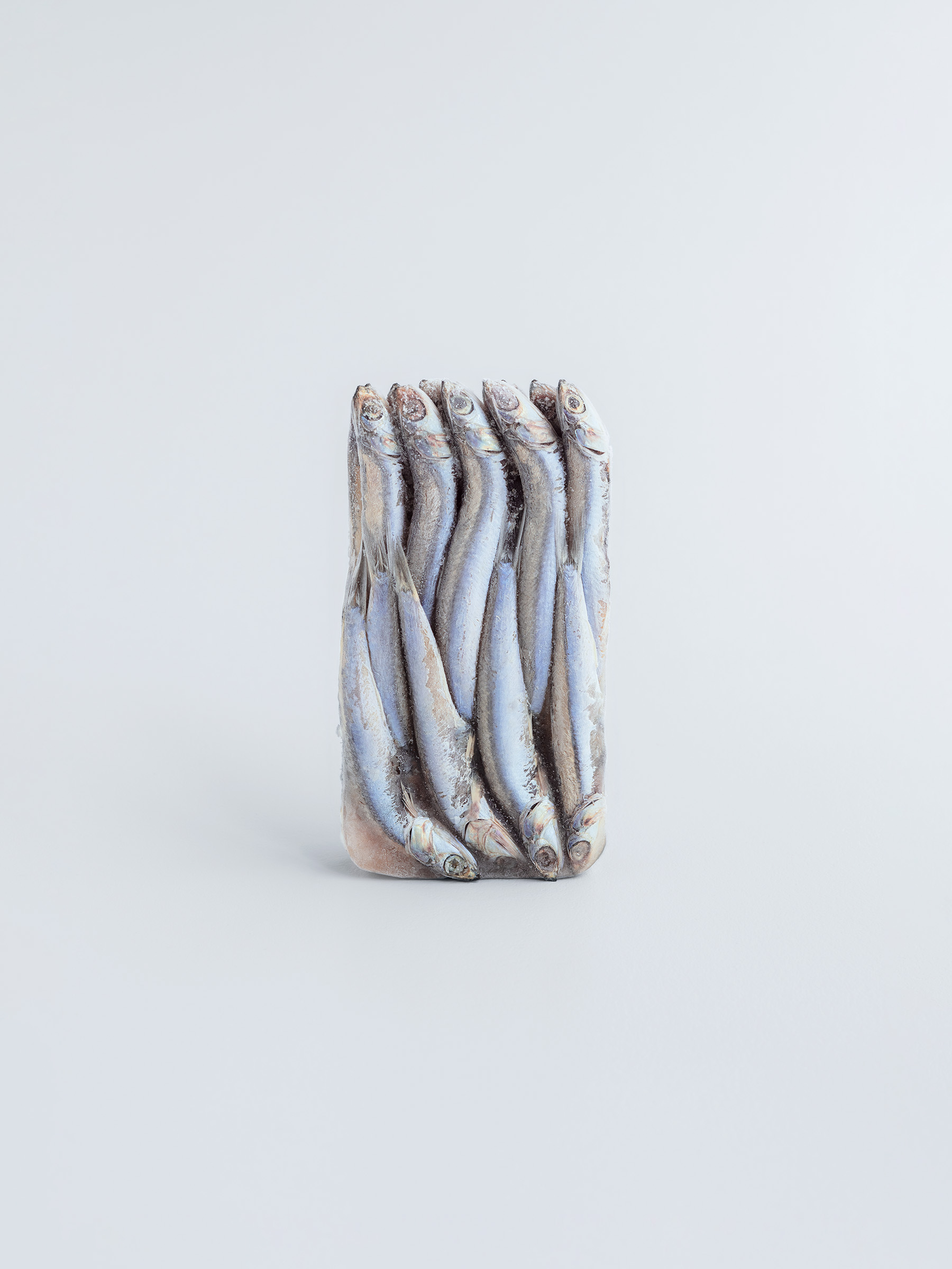 Timo Leithaeuser - Silence - Portfolio