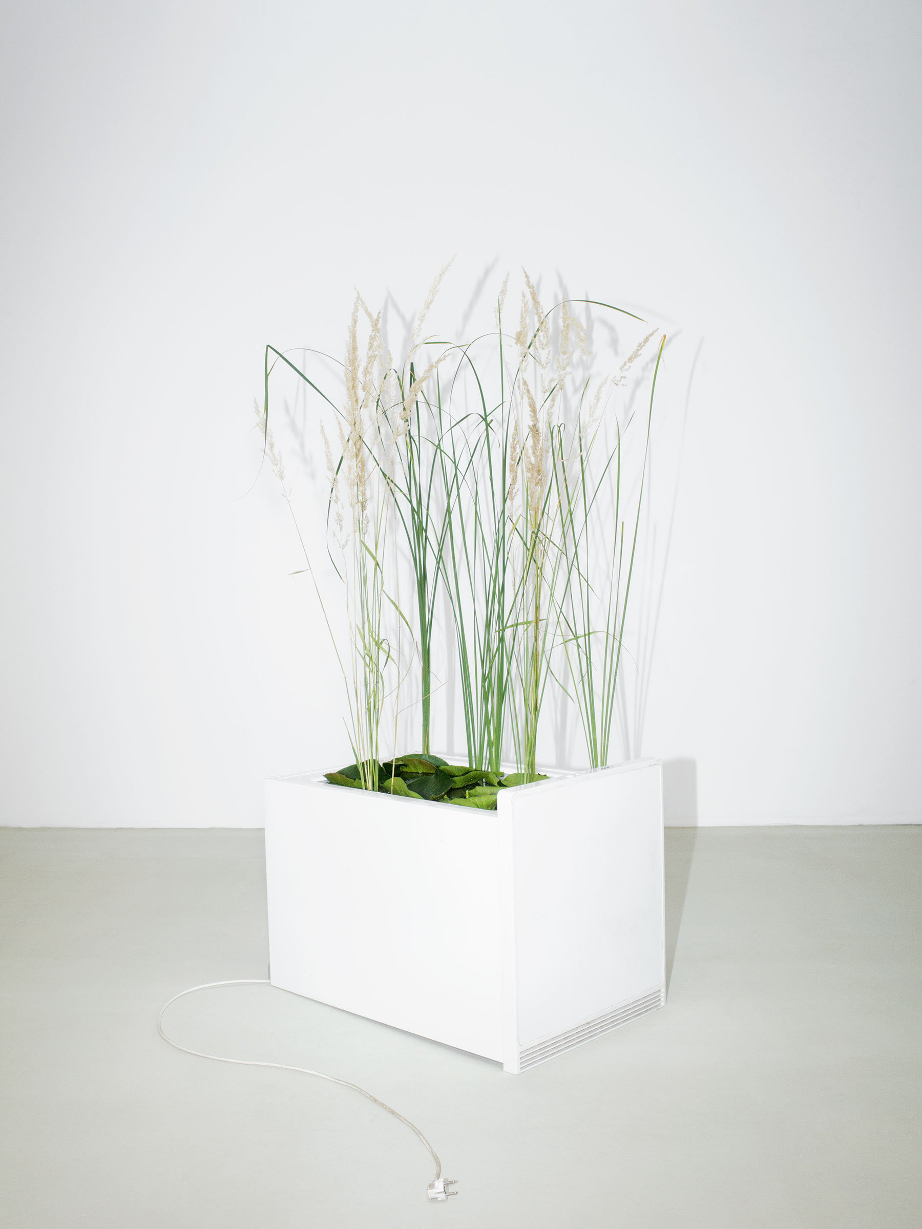 Timo Leithaeuser - Electrification - Portfolio