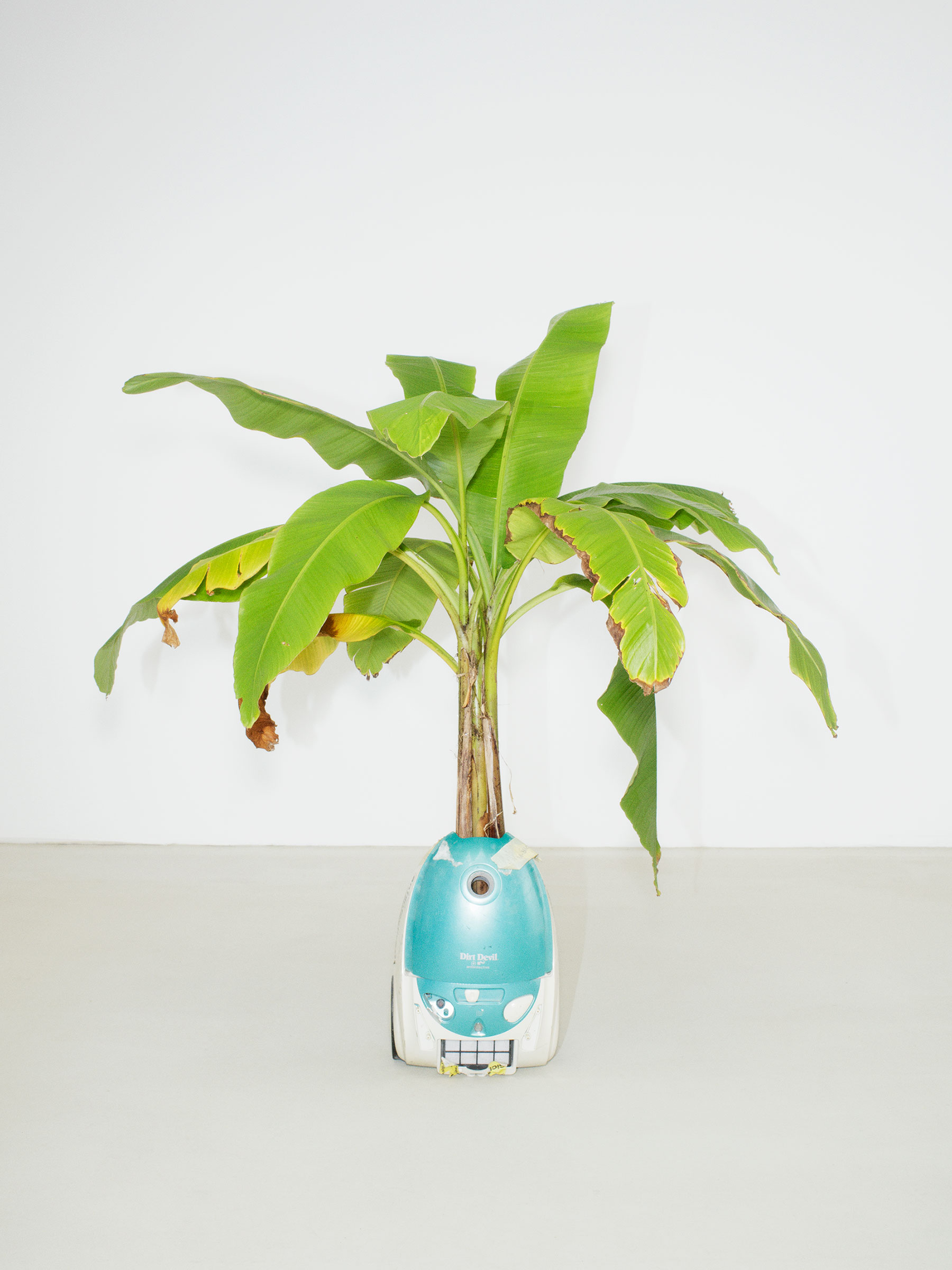 Timo Leithaeuser - Electrification - Portfolio