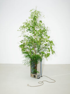 Timo Leithaeuser - Electrification - Portfolio