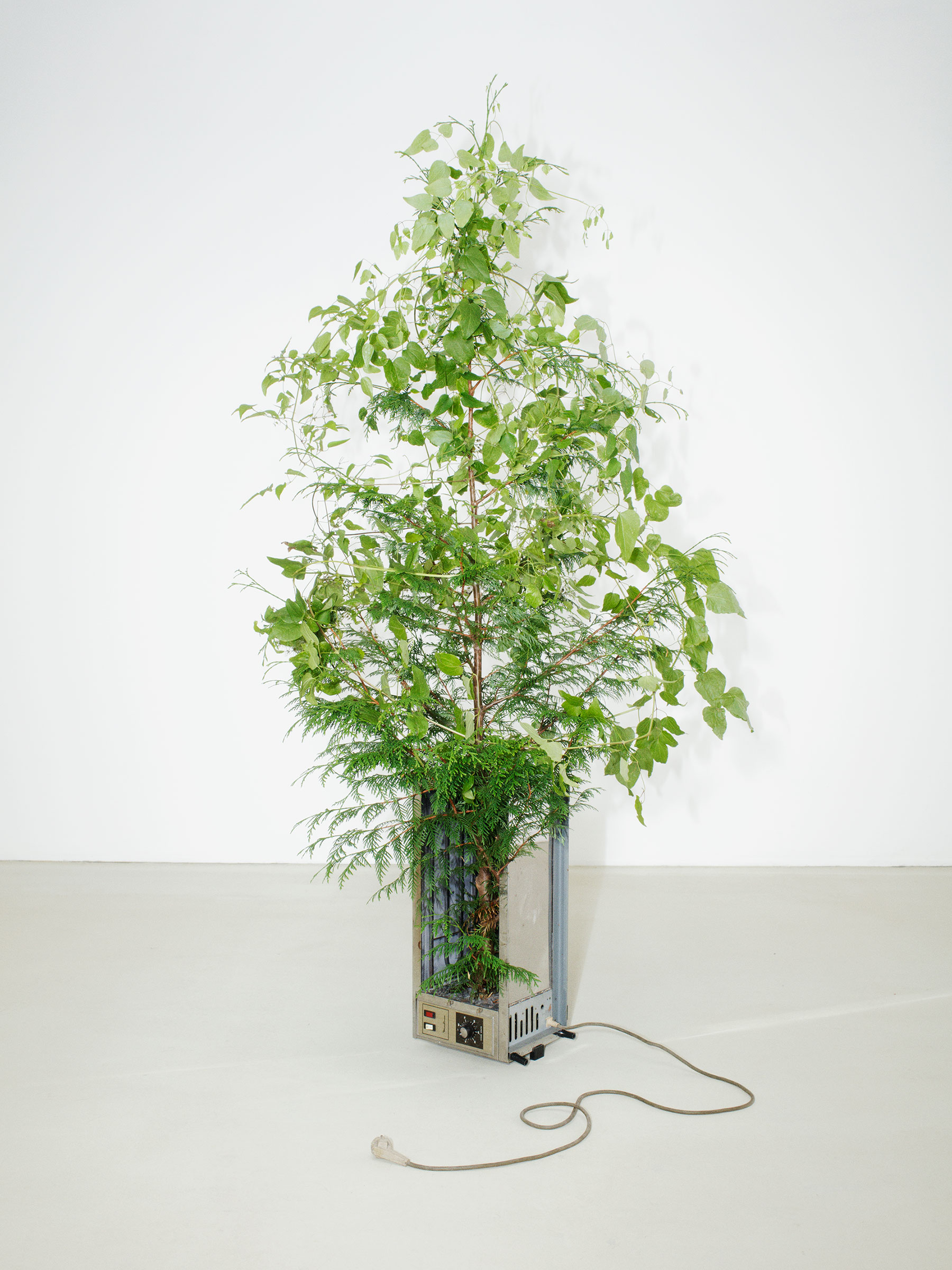 Timo Leithaeuser - Electrification - Portfolio