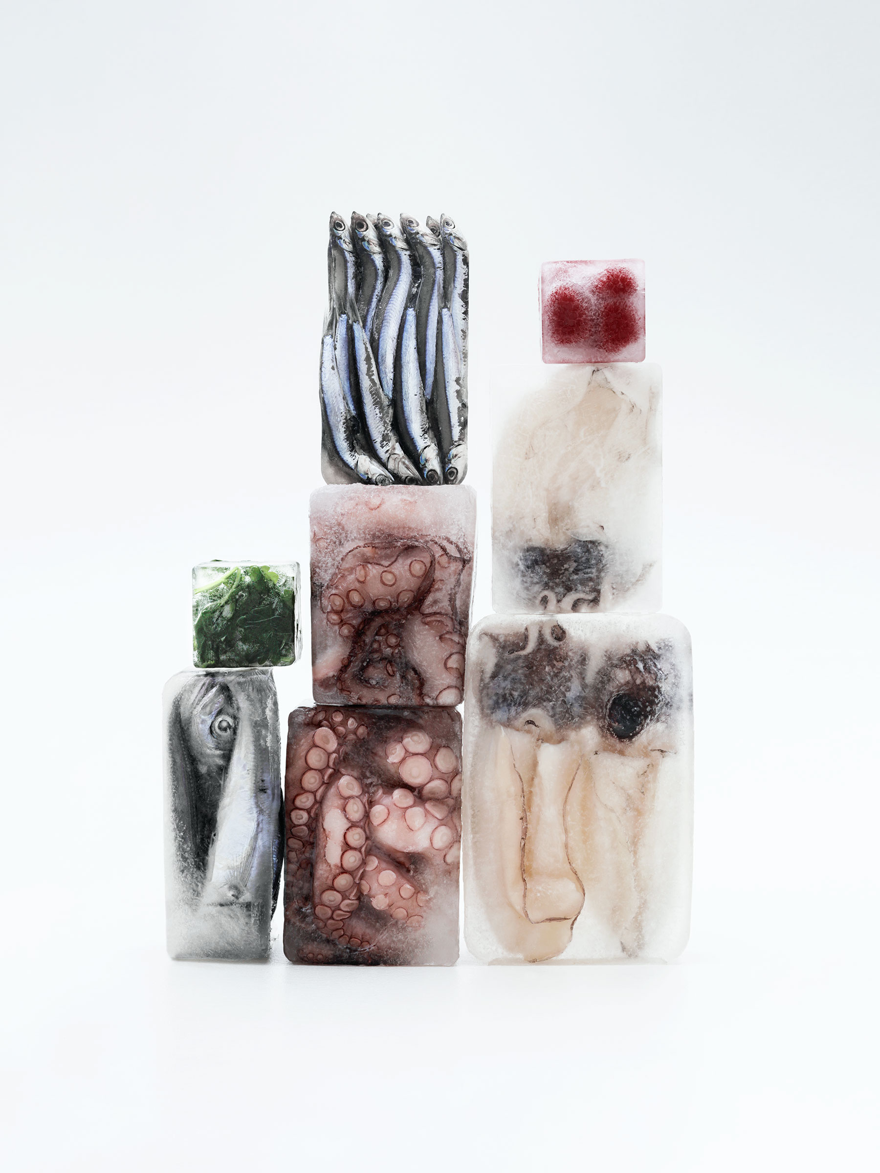 Timo Leithaeuser - Frost - Portfolio