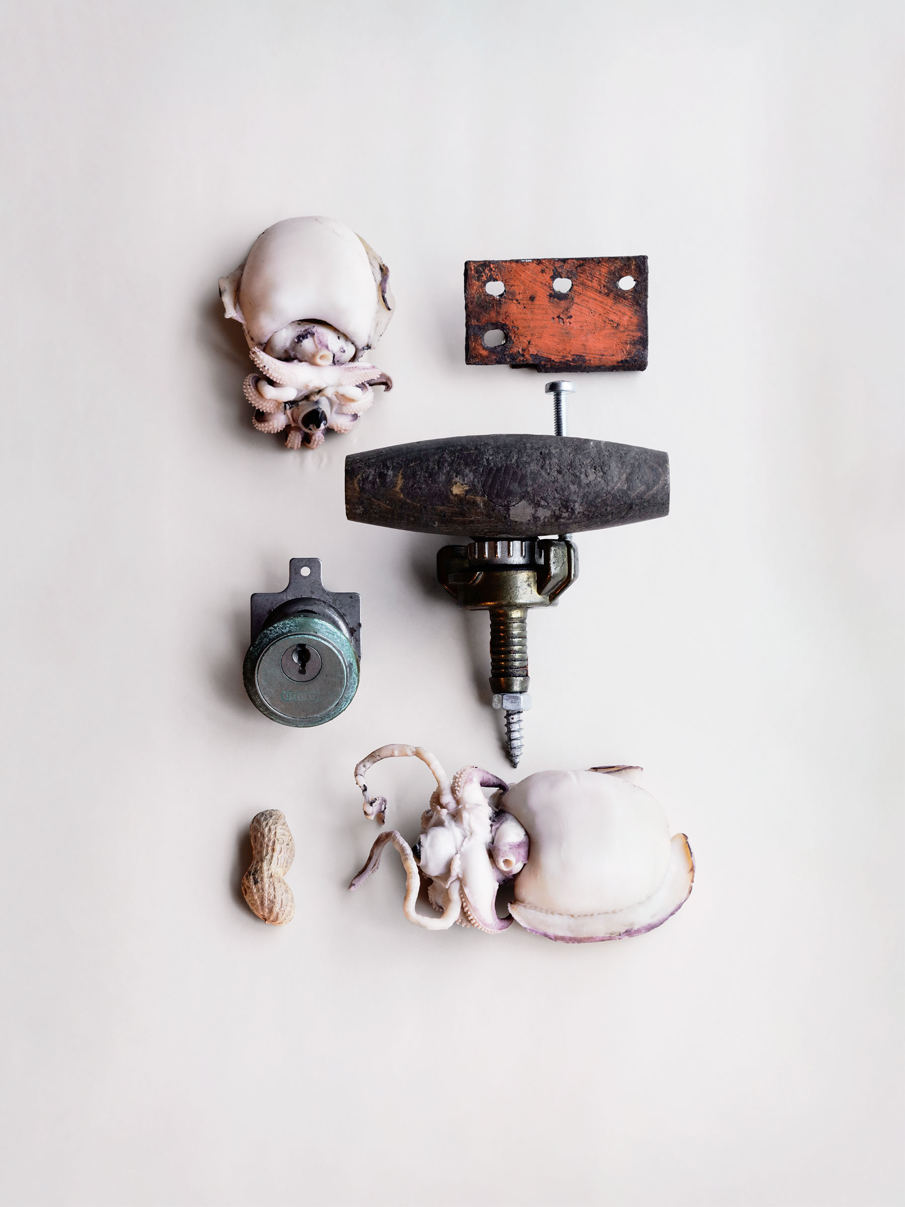 Timo Leithaeuser - Tintenfisch_Schloss - Portfolio