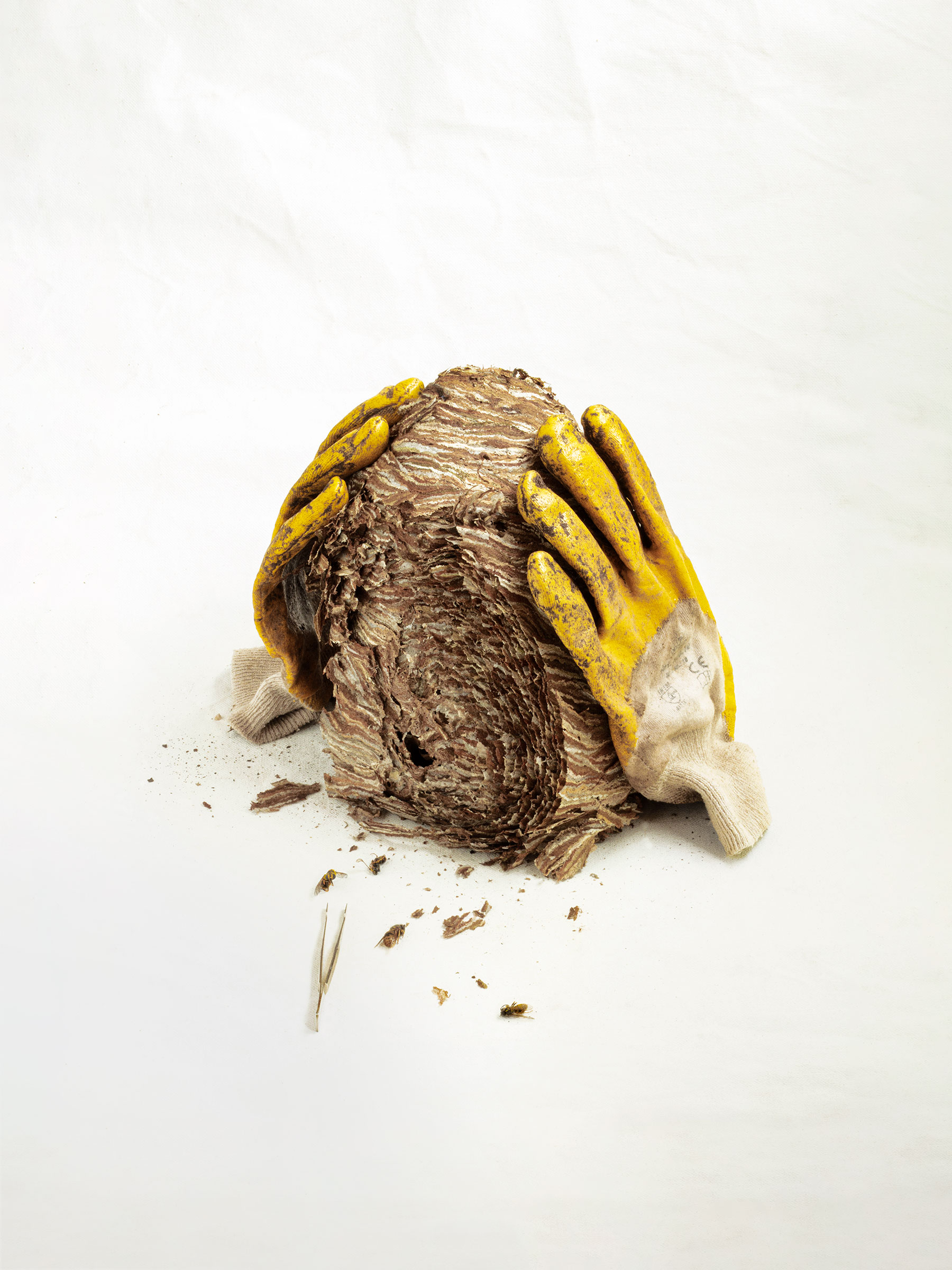 Timo Leithaeuser - Wesps - Portfolio