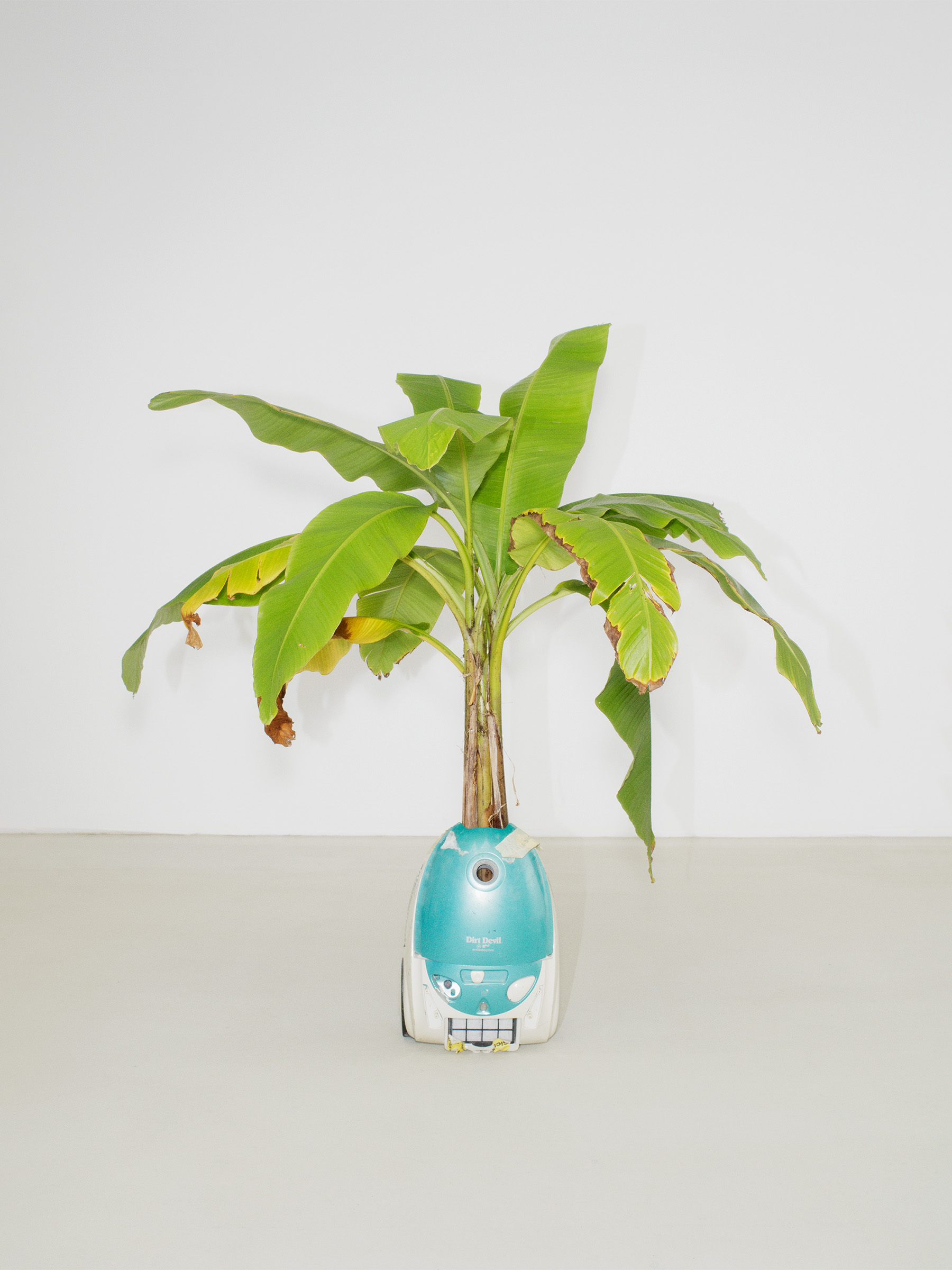 Timo Leithaeuser - Electrification - Portfolio