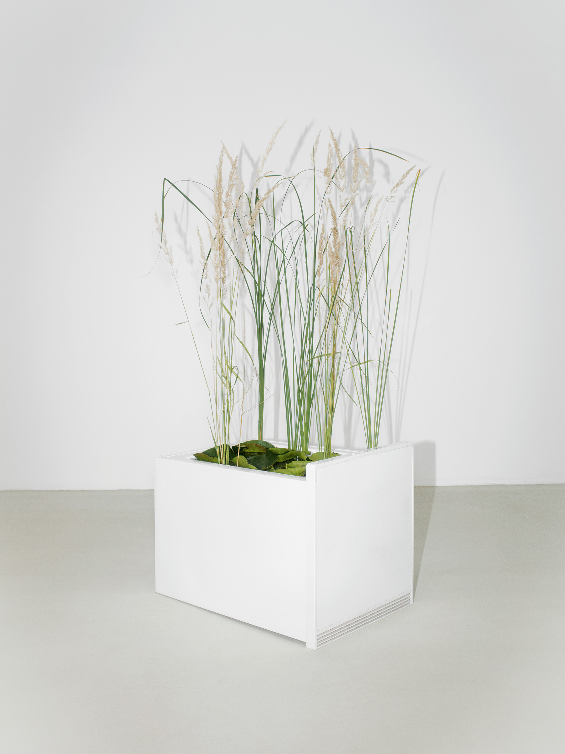 Timo Leithaeuser - Electrification - Portfolio