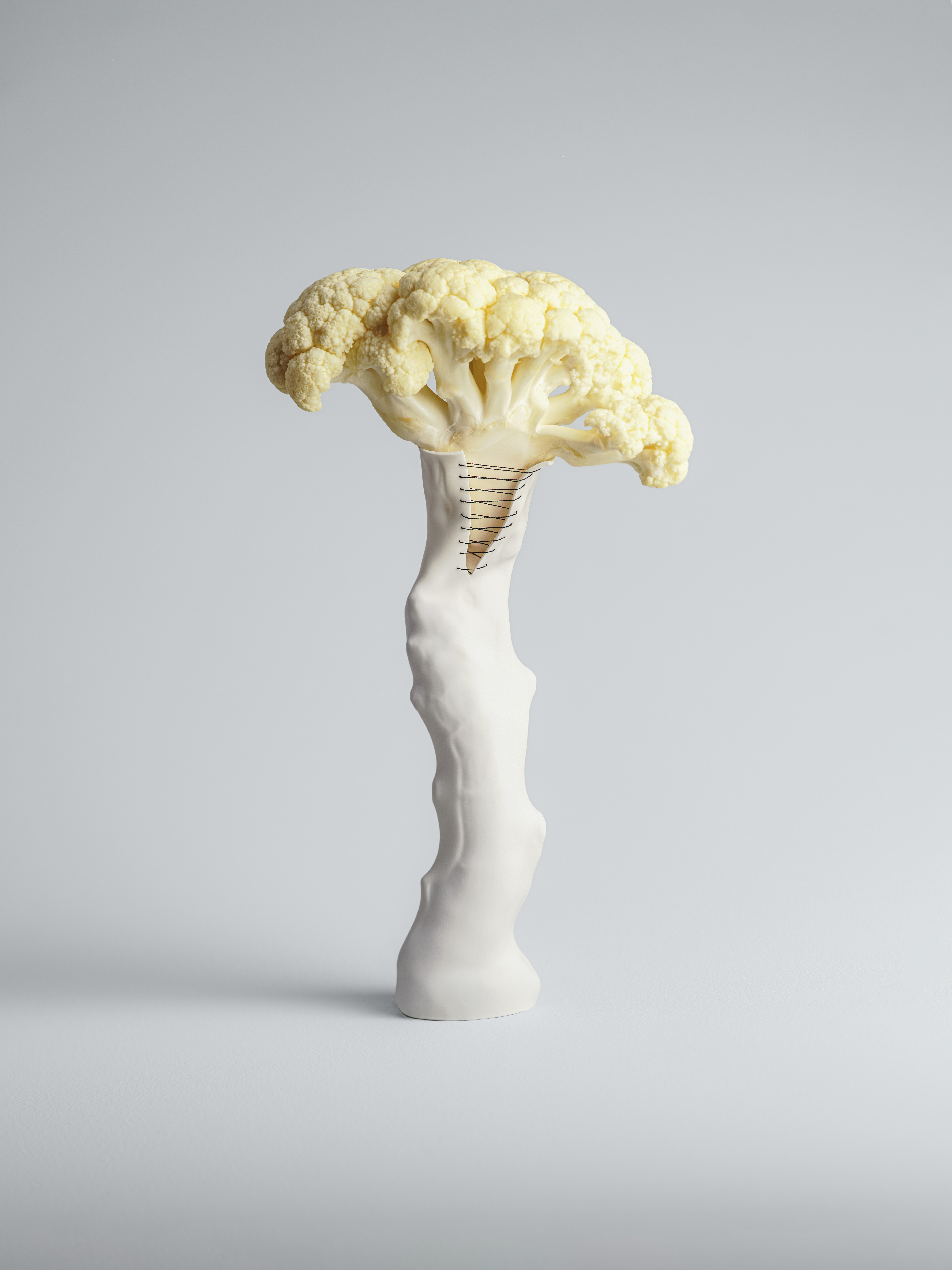 Timo Leithaeuser - GRAFTS - Portfolio