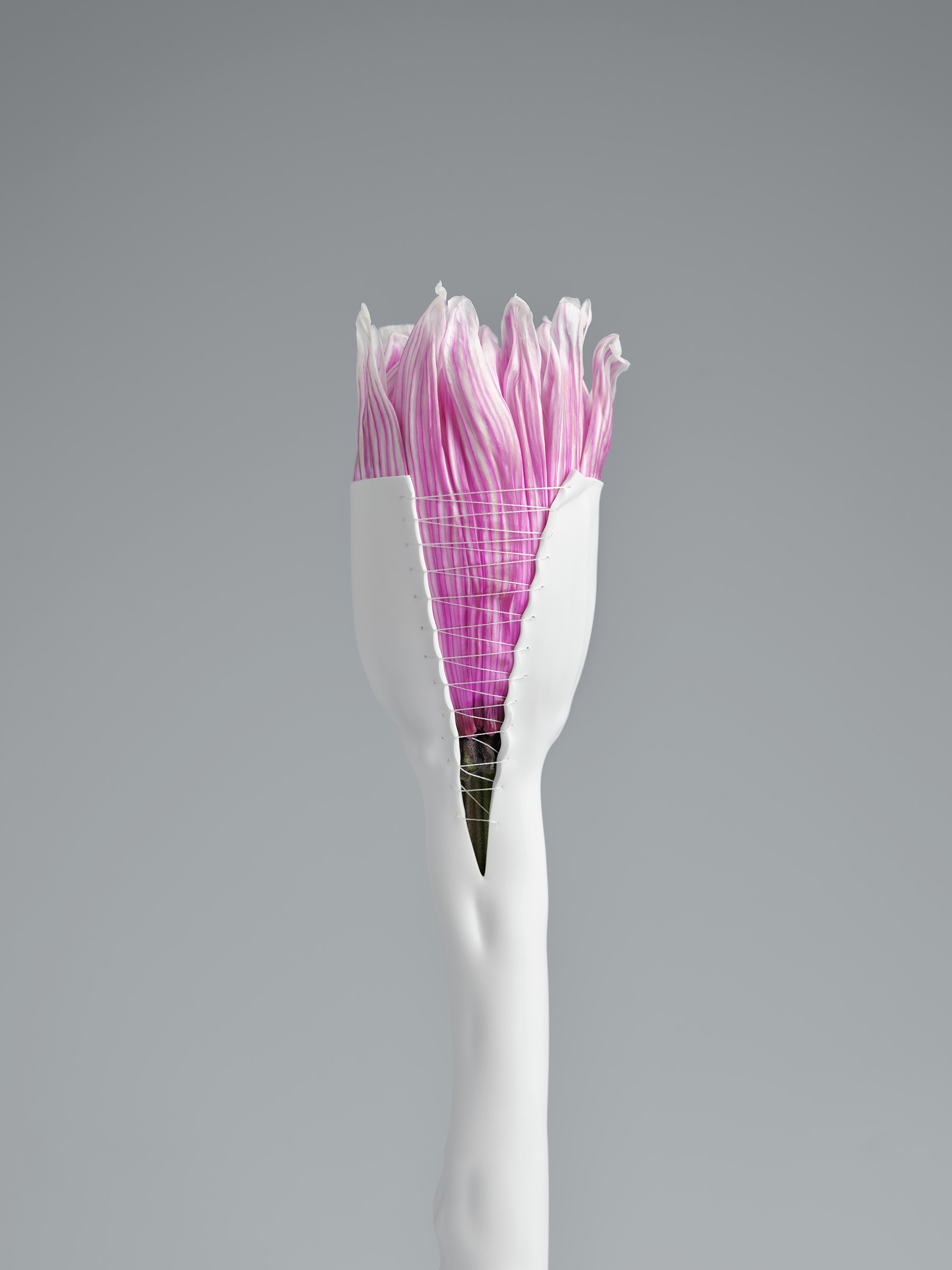Timo Leithaeuser - GRAFTS - Portfolio