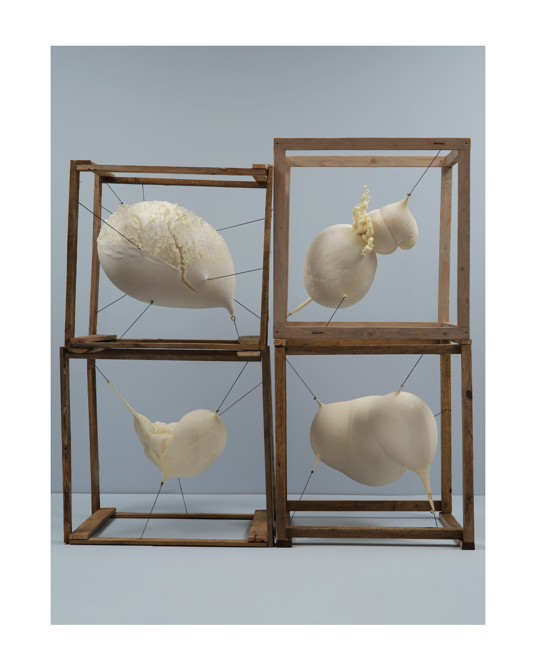 Timo Leithaeuser - CONTAINMENT - Portfolio