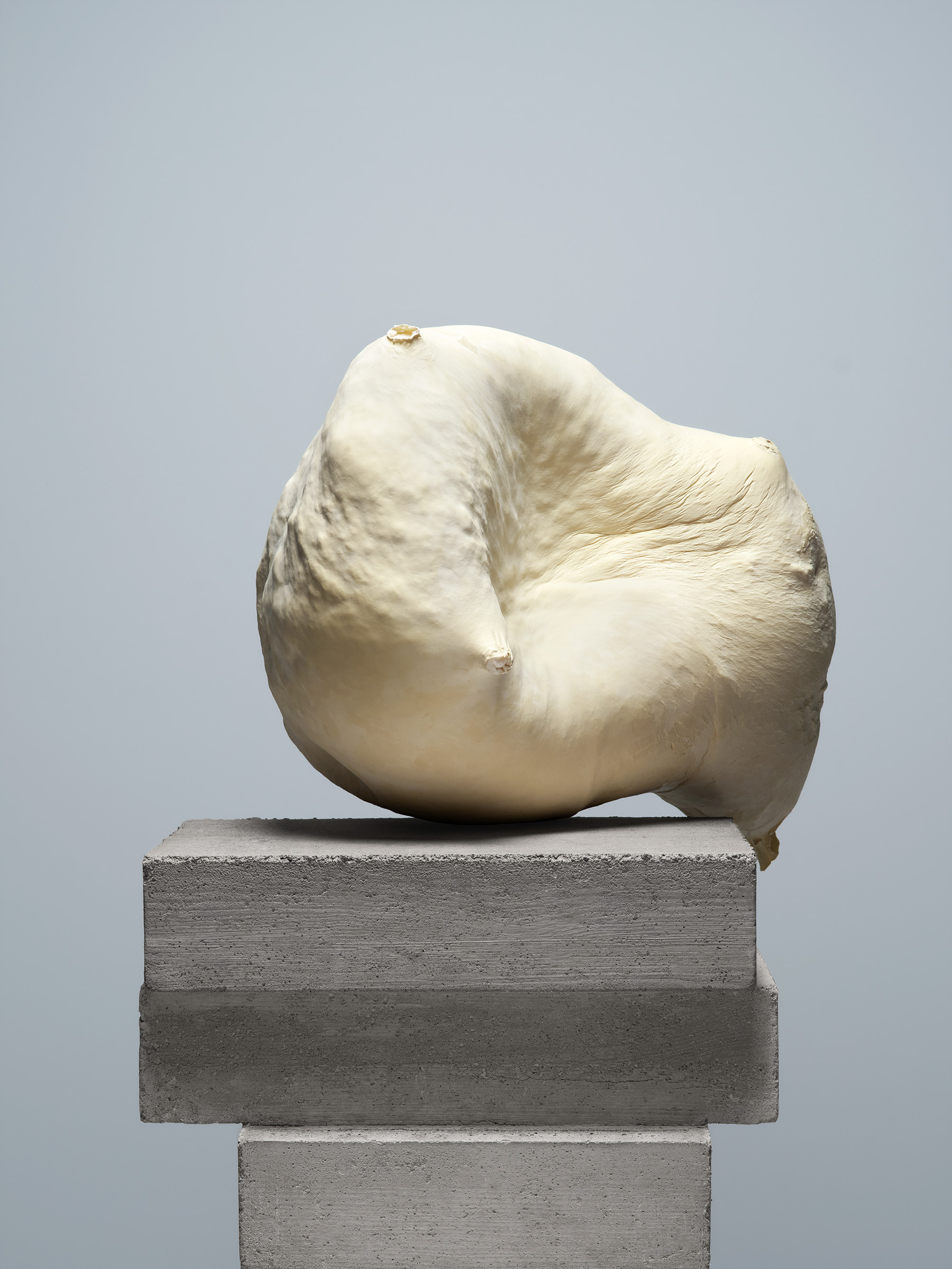 Timo Leithaeuser - CONTAINMENT - Portfolio