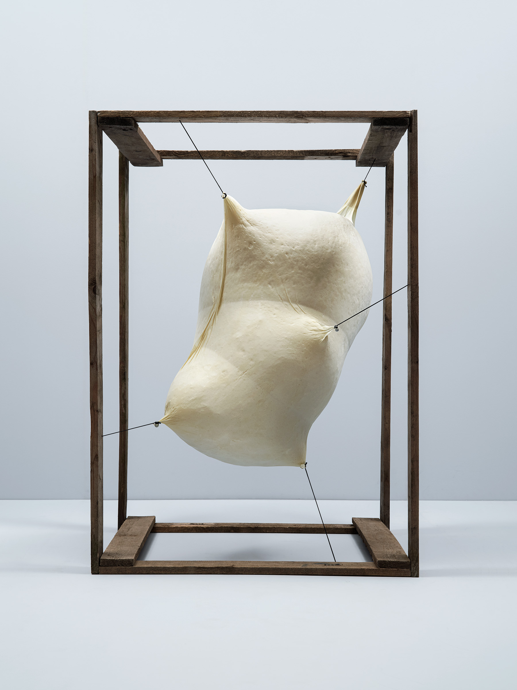 Timo Leithaeuser - CONTAINMENT - Portfolio
