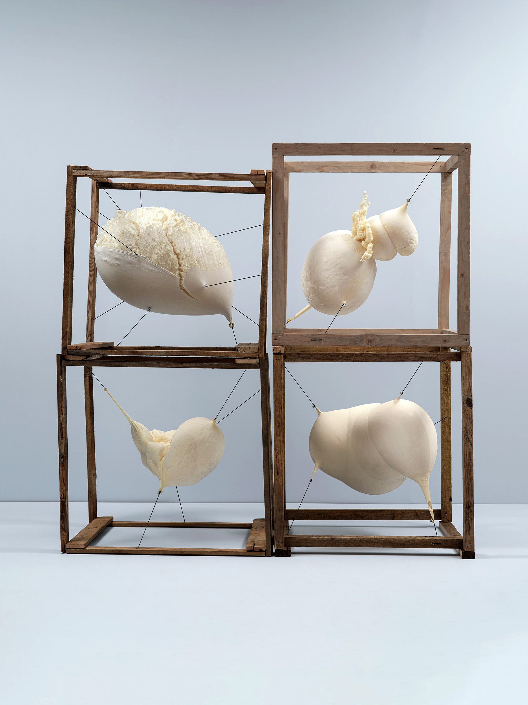 Timo Leithaeuser - CONTAINMENT - Portfolio