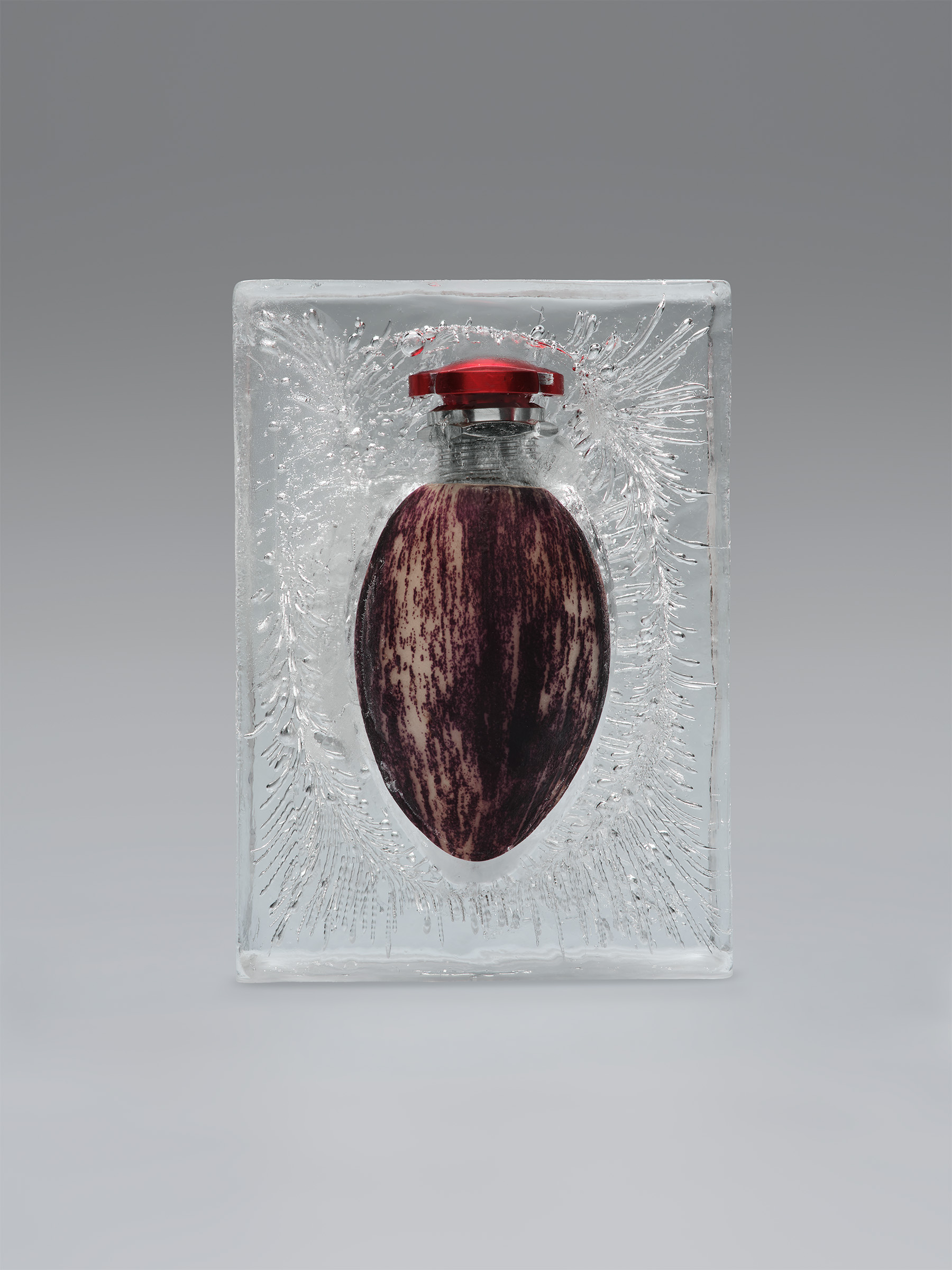 Timo Leithaeuser - PHYTOELECTRIC I - Portfolio