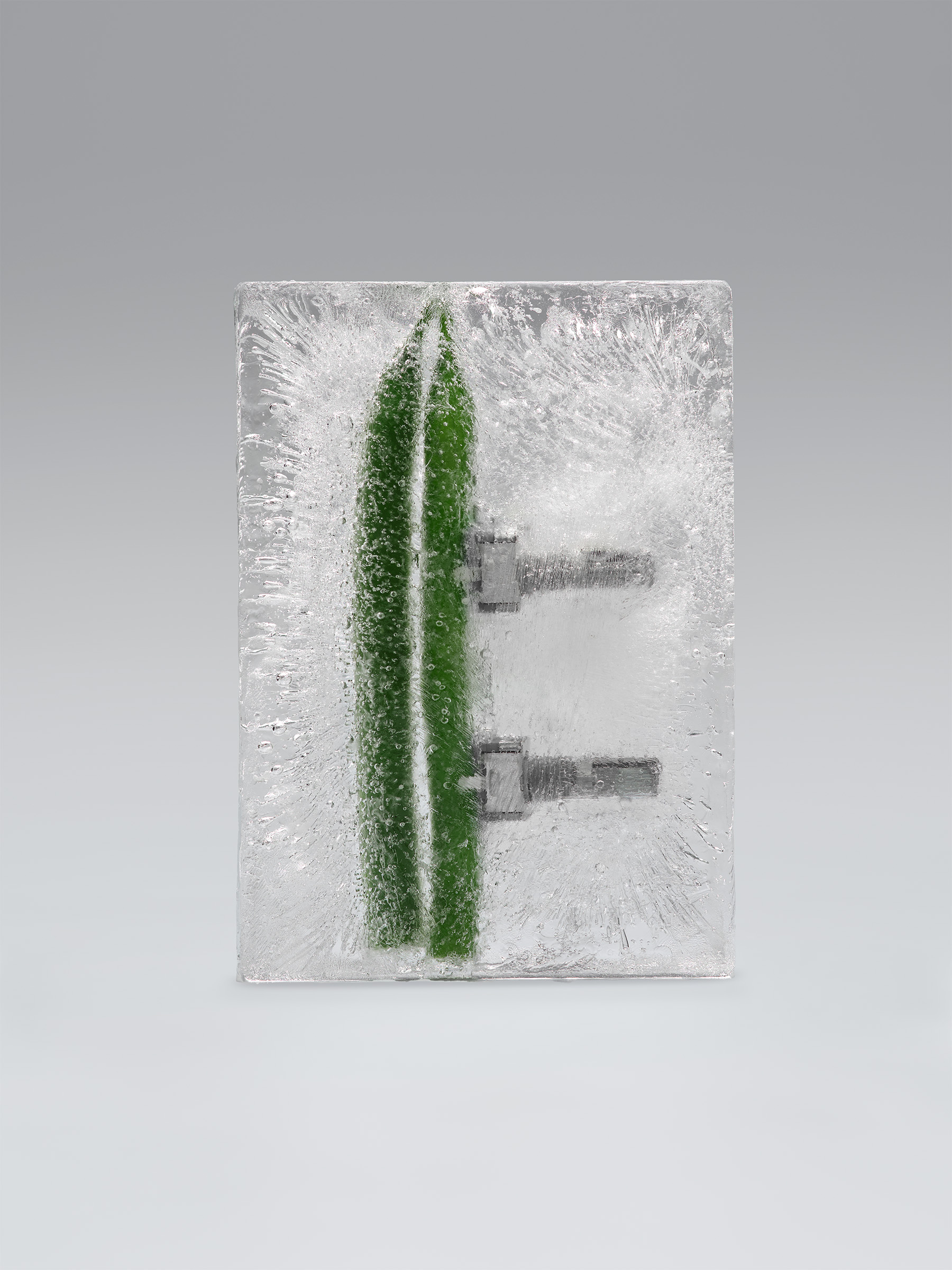 Timo Leithaeuser - PHYTOELECTRIC I - Portfolio