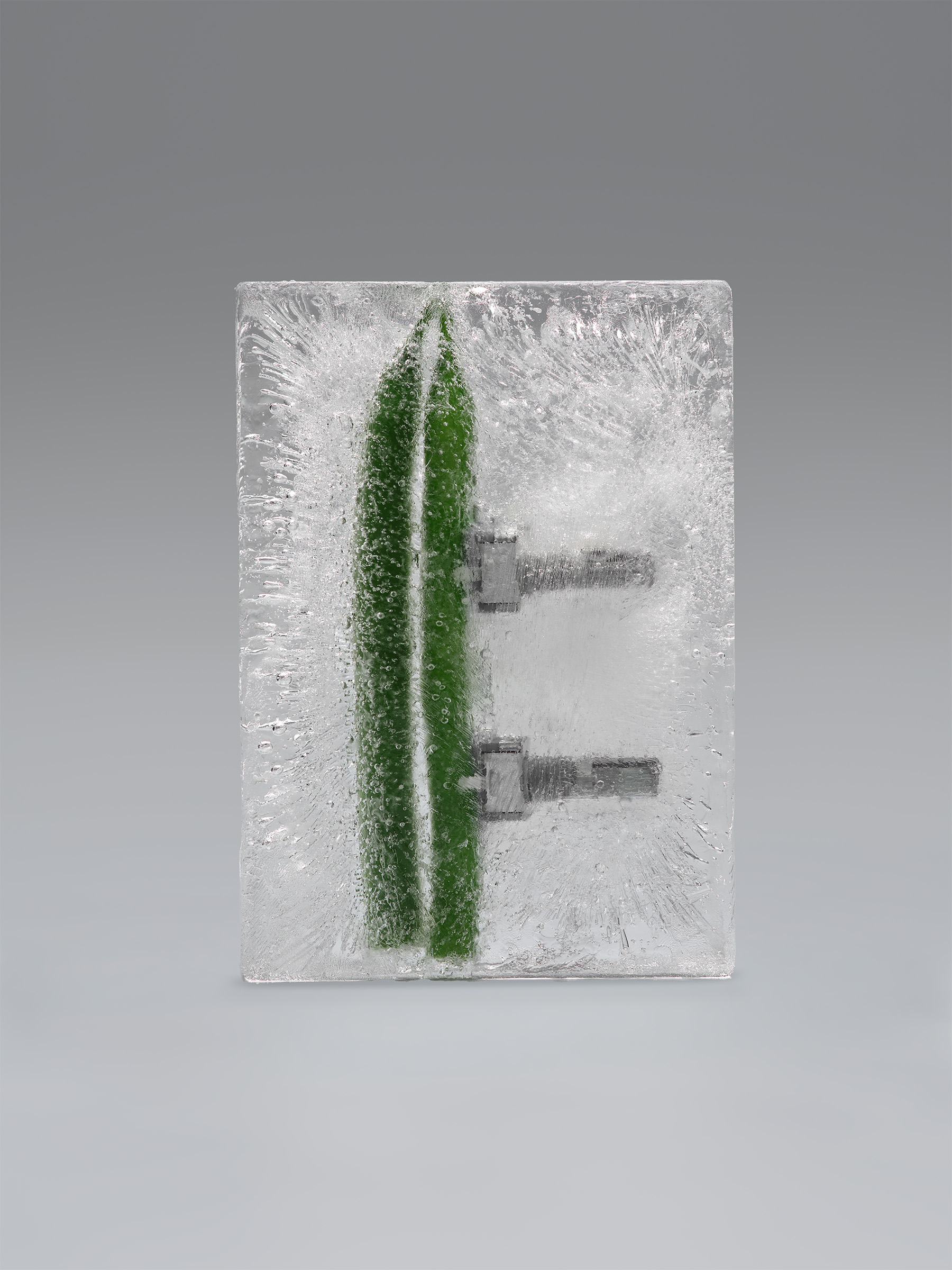 Timo Leithaeuser - PHYTOELECTRIC I - Portfolio