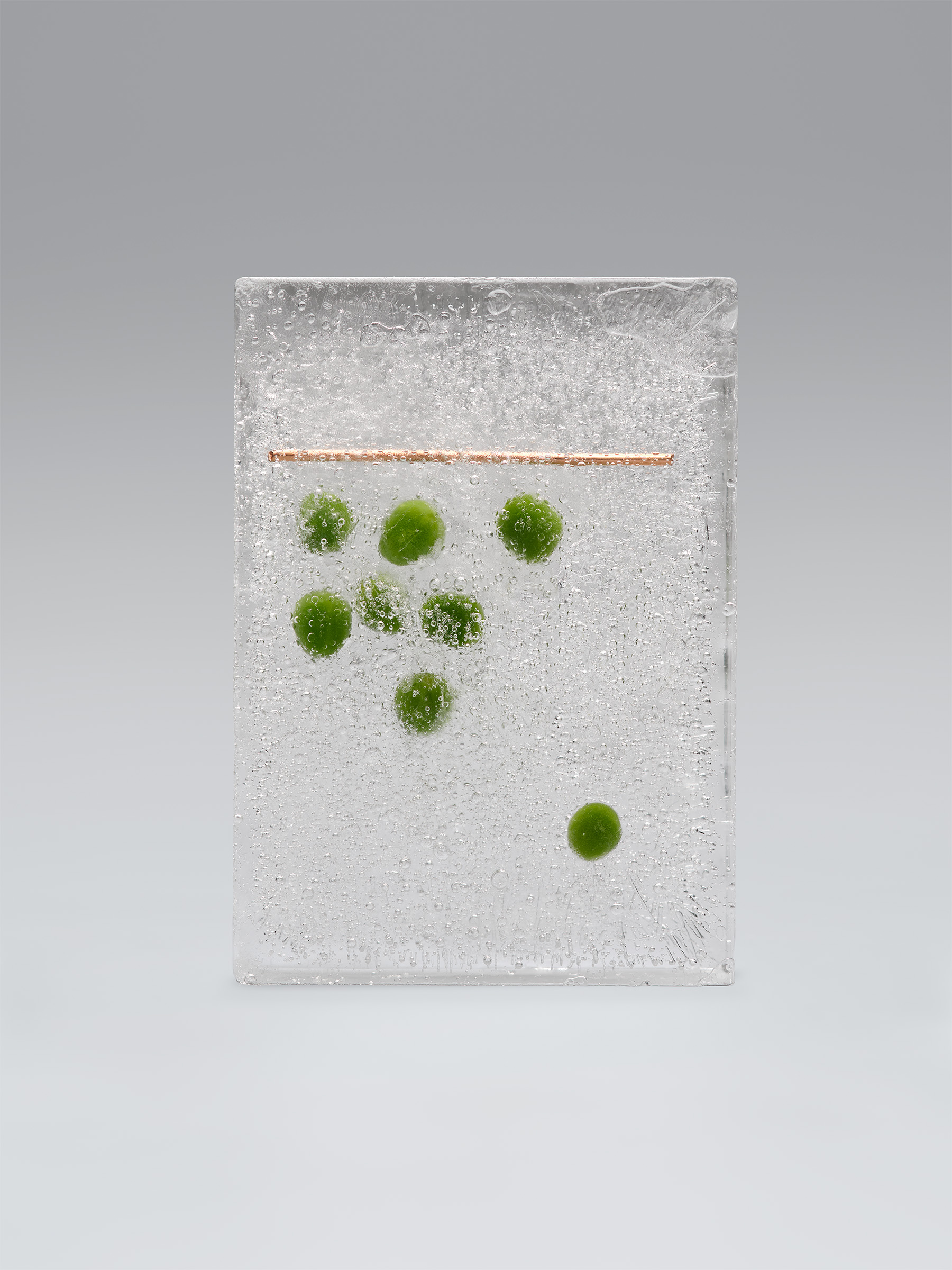 Timo Leithaeuser - PHYTOELECTRIC I - Portfolio