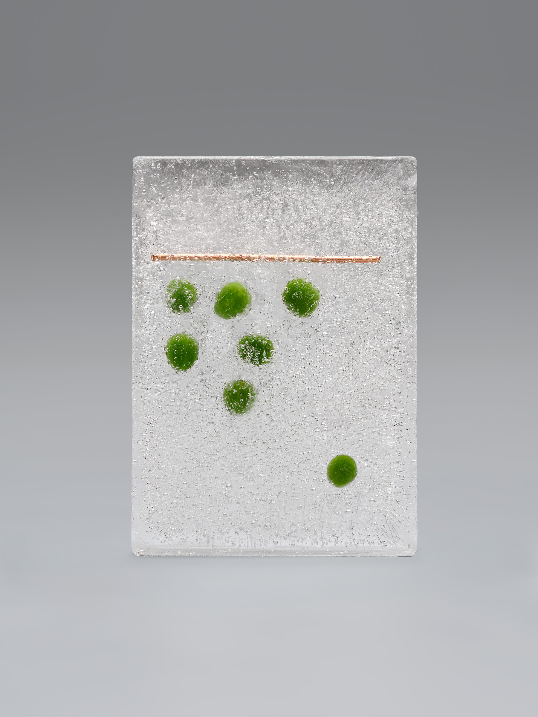 Timo Leithaeuser - PHYTOELECTRIC II - Portfolio