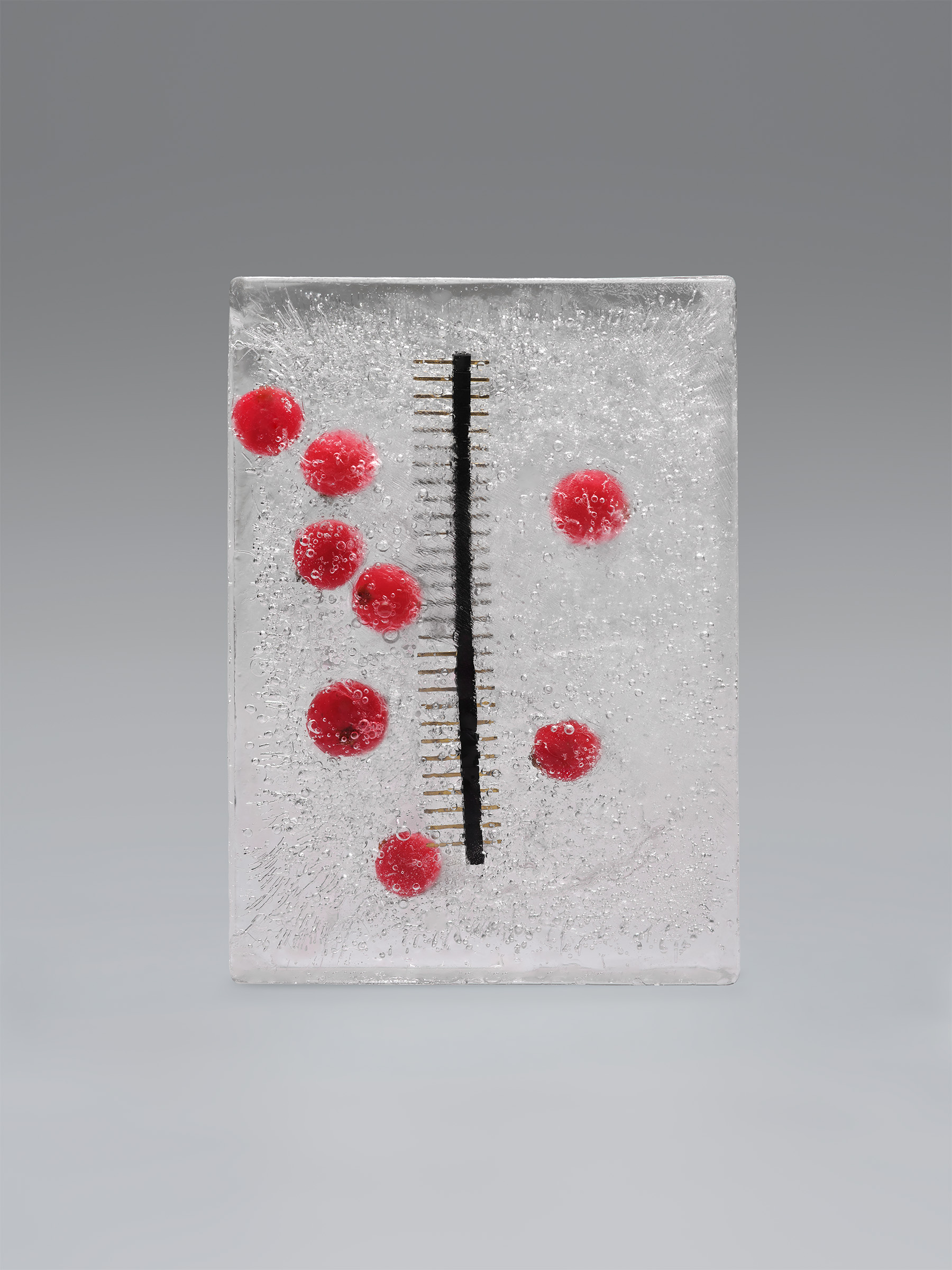 Timo Leithaeuser - PHYTOELECTRIC II - Portfolio