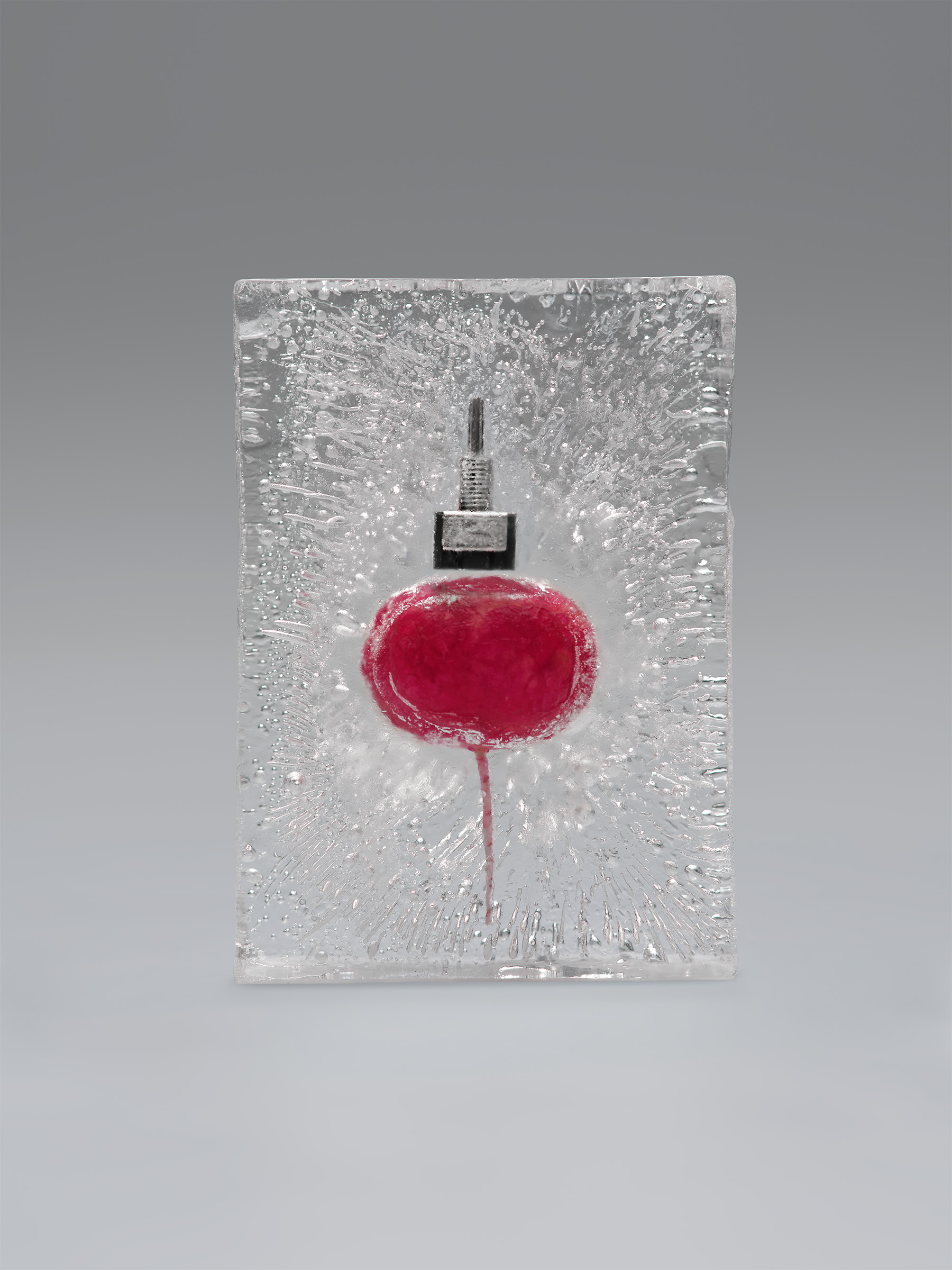 Timo Leithaeuser - PHYTOELECTRIC I - Portfolio