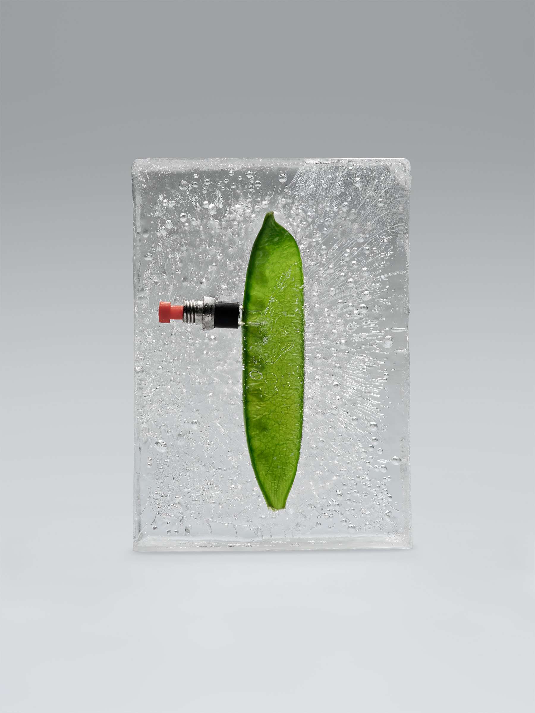 Timo Leithaeuser - PHYTOELECTRIC I - Portfolio